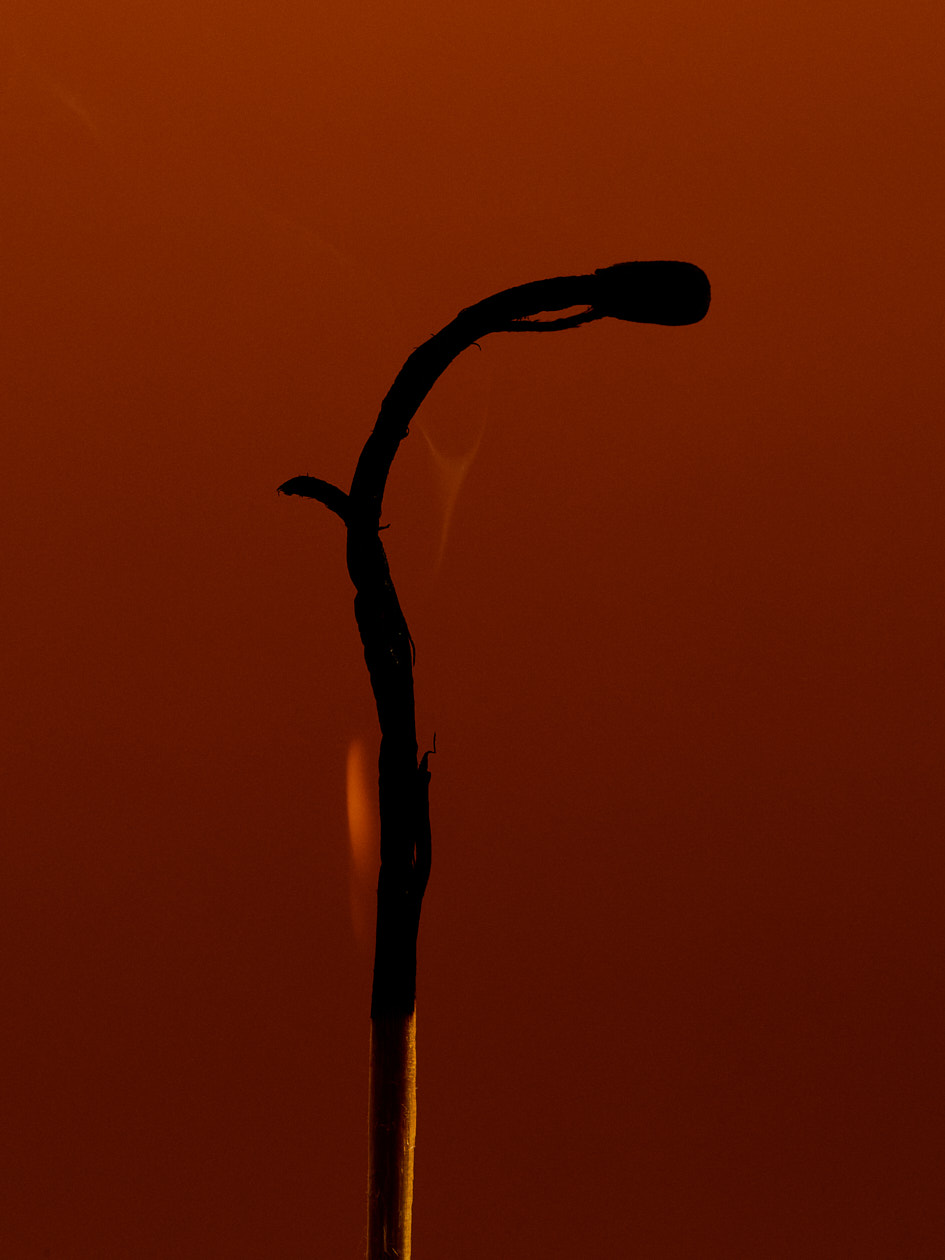 SINDROMS_CLAUDIAZALLA_02